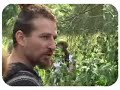 How to Eat Stinging Nettles How to Eat Stinging Nettles