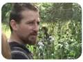 How to Eat Stinging Nettles