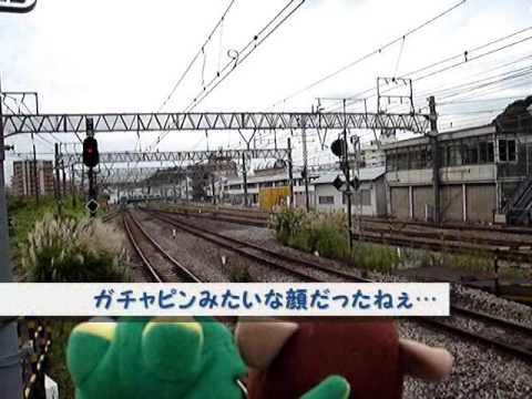 木村君と池田君がＪＲ東日本251系スーパービュー踊り子号を見に行った。