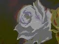 AULAS DE PINTURA ( ROSAS 1 E 2 ) A VENDA AULAS DE PINTURA ( ROSAS 1 E 2 ) A VENDA