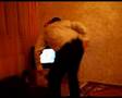 Olimpic bear`s dancing