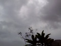 Monsoon arrives Delhi, at last