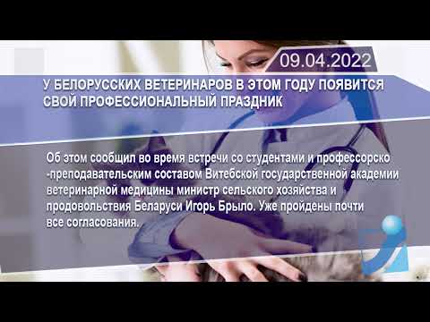 Новостная лента Телеканала Интекс 09.04.22.