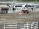Barrel racing 3