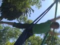 Parque Ramón López Velarde