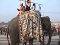 World Bites #2: Parade, Maha Kumbha Mela