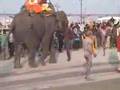 World Bites #2: Parade, Maha Kumbha Mela