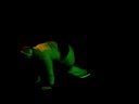 The Trackrunners-\"Hands Up\"