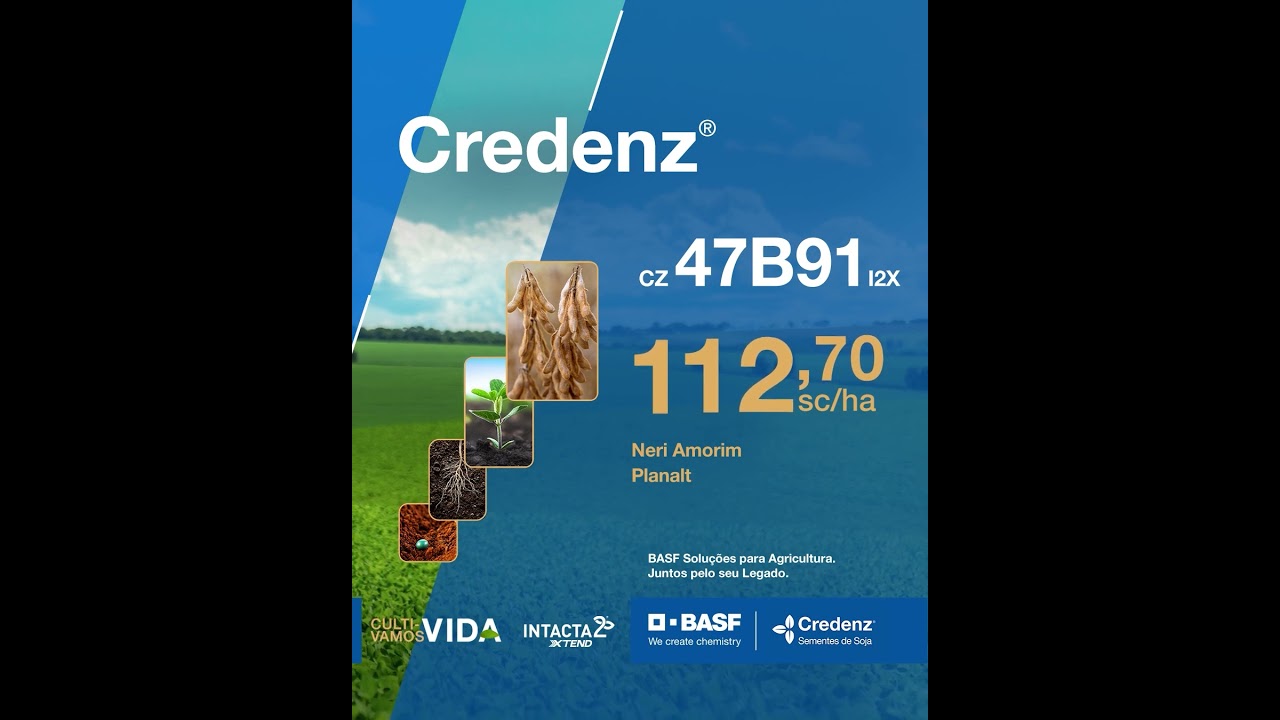 CZ 47B91 I2X Credenz®: destaque de produtividade em Goiás e no Distrito Federal