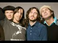 John Frusciante answering fans (Part 5)