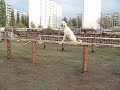 бум сидеть лежать