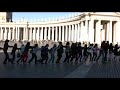 Trolas, paleto, simio, mono