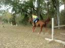 Fancy *wide open spaces*