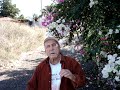 papus issack -sagapo nixta mayiki