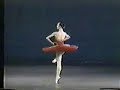 ??? Paquita ?? ????????