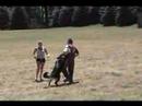 Schutzhund Koenig Long Bite