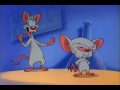 Youtube Poop: Pinky and The Brain Youtube Poop: Pinky and The Brain