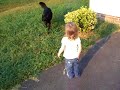 emma calling dogs