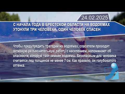 Новостная лента Телеканала Интекс 24.02.25.