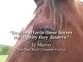 Trailer for book \"Hoof Prints: More Stories from Proud Spirit\"