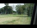 チーター、走ってみる。