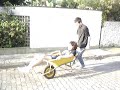 Espero que n�o me tomem por um miser�vel escravista