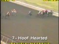 Hoof Hearted