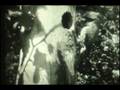 videos de Woodpecker Family