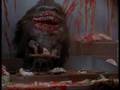 critters