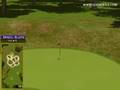 Golden Tee Great Shot on Sunny Wood!
