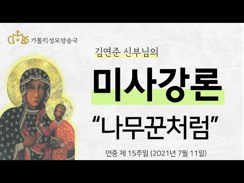  '나무꾼처럼' (2021년 7월 11일) 연중 제 15주일