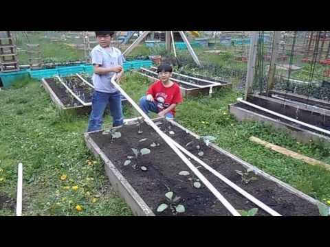 how to unclog irrigation system