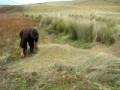 videos de Hielero Raw Footage 5
