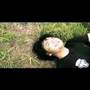 เริ่มใหม่ (restart)
