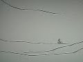 My first line rider