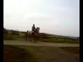 me and flint jumping a random gate haha first time jump! me and flint jumping a random gate haha first time jump!