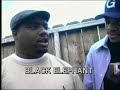 BLACK ELEPHANT BLACK ELEPHANT