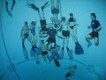 Freediving at the SETT with DeeperBlue.net