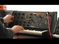 Noodling on Korg MS-10