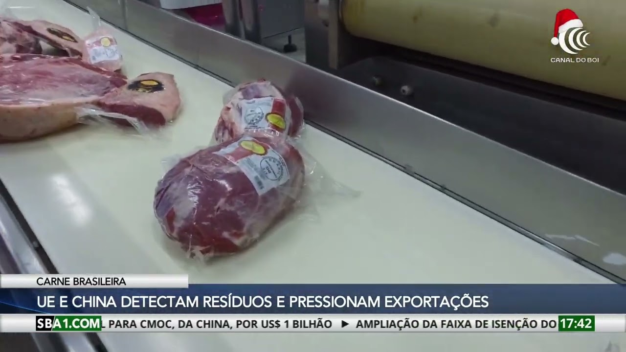 Exportações do agro brasileiro: Superávit, desafios sanitários e debates sobre animais vivos