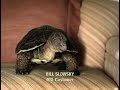 The Latest Slowskys Commercial :D