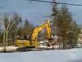 videos de A Trees eater...
