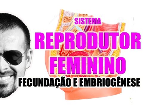 embriologia - FACEBOOK: http://www.facebook.com/anatomiafacilcomrogeriogozzi TWITTER: http://twitter.com/RogerioGozzi Este vídeo aborda o início do processo de gravidez, c...