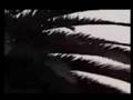 videos de ufo spacecraft sighting