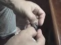 Man Eating Cockroaches