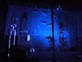Intro/Fell