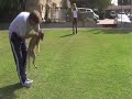 Teaching a puppy to \"Come\"
