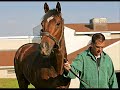 Remembering Barbaro