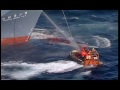 Greenpeace Baleias