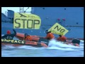 Greenpeace Baleias